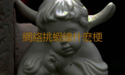 網絡挑蝦線什麽梗